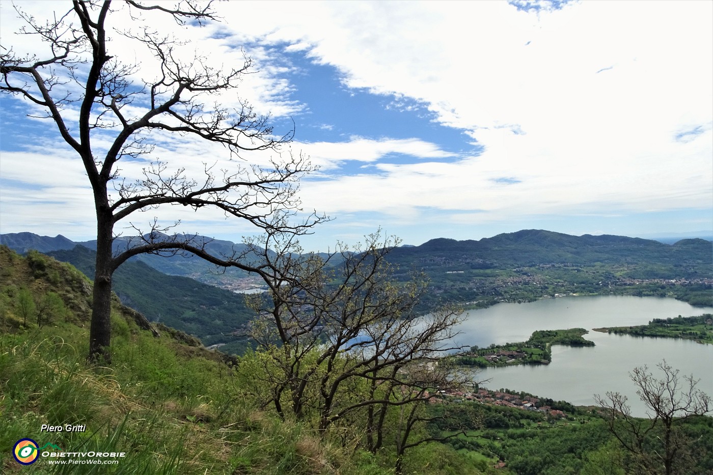 41 Lago di Annone visto tra le querce .JPG